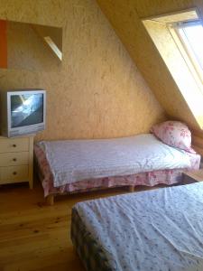 Danutės pirtis